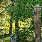 Tatil Evi Bv361-blavand-solsiden-46